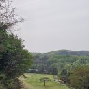 푸름코리아 | 코리아cc 야간 라운드 레이크 챌린지 코스 후기
