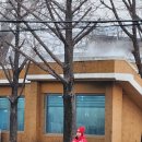 보라지구 입구 삼거리 이미지