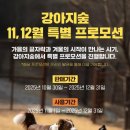 강아지 숲 이미지