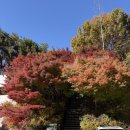 나를 찾아가는 사주명리학 이미지