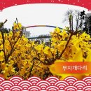 무지개공원2 네이버블로그