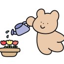 성산 동백소랑 이미지