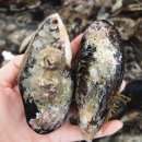 정암식당 이미지