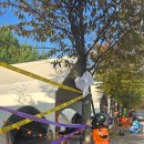 소풍캠핑장 | 경기 남부 가성비좋은 용인 소풍캠핑장 할로윈 캠 글램핑장 후기