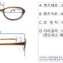 내안경 보청기 이미지