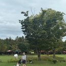 oh-천사어린이집 이미지