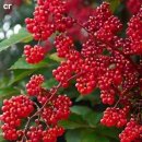 공덕농장 이미지