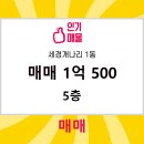 개나리공인중개사사무소 | 세경부동산공인중개사사무소 세경개나리 1동 매매 1억 500