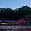 목천약국 이미지