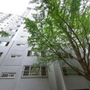 보라매동-8 이미지