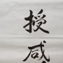 수감삼지 이미지