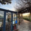 석양이 아름다운 형제섬 농원 이미지