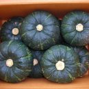 건이네 농장 이미지