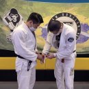 용인대 특전 합기도 이미지