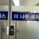오피스나무 이미지