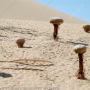 샌드샌드(Sand Sand)