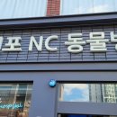 전포NC동물병원 네이버블로그
