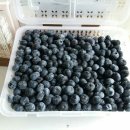 송암농장(1) 이미지