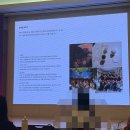 2024 부산디자인페스티벌 부산글로벌디자인세미나 후기