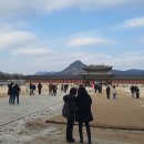 자연의 원죽 | 경북궁 20250112