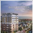 해피뷰 Daum카페