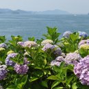 이순신공원(중간) 이미지