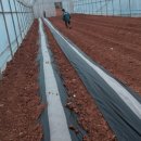 햇살농장2 이미지