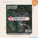 희토류 채굴하면 자연이 파괴되고 땅이 산성화되는 이유 이미지