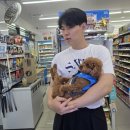 지에스25평택동문가점 이미지