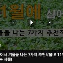 11월에 심는 작물7가지 이미지