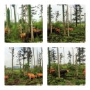 이시돌목장 이미지