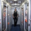 보소태양광 이미지