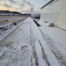 정은농장 이미지