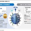 꿈의약국