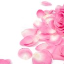 캔들웨이 이미지