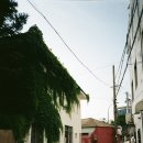 굿타임제주 네이버블로그