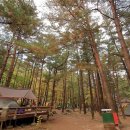무릉계곡힐링캠프장 이미지