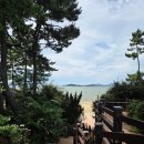 함평종합관광안내소 | 물놀이와 갯벌체험이 가능한 아이와 가볼만한 곳 전남 함평 돌머리해수욕장