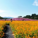 신소양체육공원 이미지