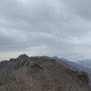낙낙 Daum카페
