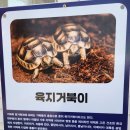 임실자연농원 이미지