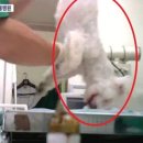 라이프동물병원 이미지