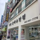 은하수 | 울산 도수수경 다양한 브랜드 있는 동구 은하수안경