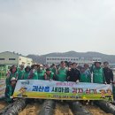 감자마을 이미지
