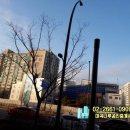 신안마곡