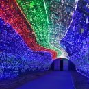 두메농산 이미지