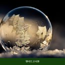 엘리트고시텔 - 북구 서방로9번길 10-8 | 노량진고시원 엘리트고시원 시설 깔끔 이라 이용하기 좋은 곳의 매장 위치와 주차