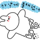 더리얼복싱짐 이미지