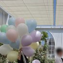 스타디움컨벤션웨딩 | (7) 스타디움 컨벤션웨딩 야외 예식 참관 후기! 또...못봤다? ㅜㅜ