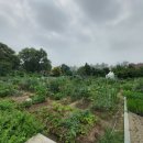 아양농장 이미지